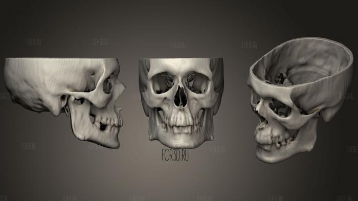 Skull Male yo stl model for CNC